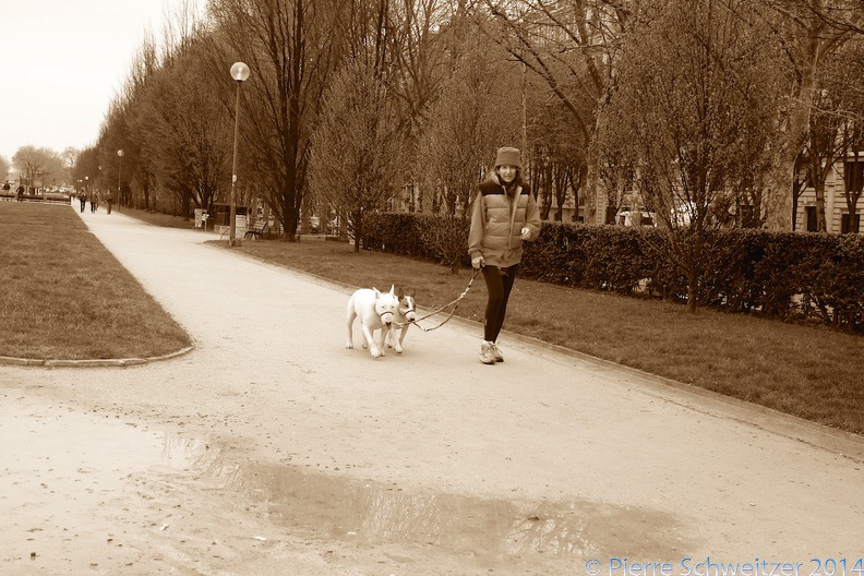 walking the dogs - Version 2.jpg
